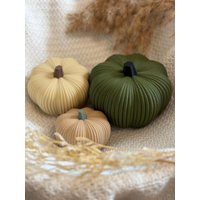 Deko Kürbis Hokkaido | Herbstdeko Strukturiert 3 Größen & Viele Farben Kürbisfigur Modern Deko Kürbis Hokkaido | Herbstdeko Strukturiert 3 Größen & Viele Farben Kürbisfigur Modern von MilliDesignsShop