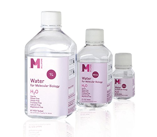 MILLIPORE 053765 Molekularbiologisches Wasser 1 l von Millipore