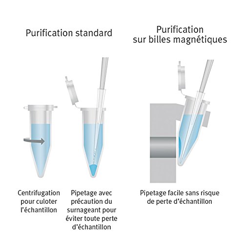 MILLIPORE 53812 PureProtéome Protéine G Magnétique Bead 2 x 1 mL von Millipore