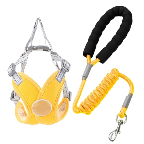 Mimoqk Hundegeschirr für kleine Hunde, verstellbares Haustiergeschirr, X-Rahmen mit Seil, atmungsaktiv, Zubehör für kleine Rassen, Training, Outdoor, Roadtrip, Joggen, Wandern, Camping Mimoqk Hundegeschirr für kleine Hunde, verstellbares Haustiergeschirr, X-Rahmen mit Seil, atmungsaktiv, Zubehör für kleine Rassen, Training, Outdoor, Roadtrip, Joggen, Wandern, Camping von Mimoqk