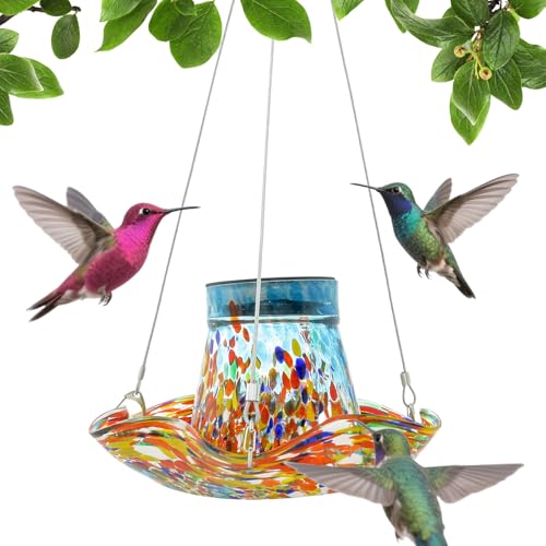 Mimoqk Spender für Kolibris – Futterstelle für Wildvögel, solarbetrieben, auslaufsicheres Buntglas mit Becken, sonnenenergetisierte Dekoration für Terrasse und Park Mimoqk Spender für Kolibris – Futterstelle für Wildvögel, solarbetrieben, auslaufsicheres Buntglas mit Becken, sonnenenergetisierte Dekoration für Terrasse und Park von Mimoqk