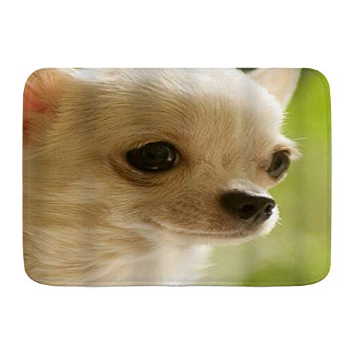 Minalo Nette Nahaufnahme Chihuahua Nette Saubere Gesicht Bad Teppich Personalisierte Dekoration Badezimmer Bodenmatte 75x45cm Minalo Nette Nahaufnahme Chihuahua Nette Saubere Gesicht Bad Teppich Personalisierte Dekoration Badezimmer Bodenmatte 75x45cm von Minalo