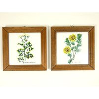 Vintage Fliesen Mit Kraut Blume Pflanze Kräuterfliesen in Holzrahmen 5.1x5.1 Zoll Dekorative Vintage Fliesen Mit Kraut Blume Pflanze Kräuterfliesen in Holzrahmen 5.1x5.1 Zoll Dekorative von MinasTreasureChest
