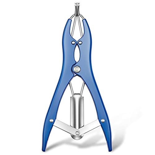 Minatee Ballon Expander Zange Ballon Stuffing Tool Blau Edelstahl Ballon Stretcher Pailletten Füllzange zum Befüllen von Ballon Pailletten Blütenblätter Federn Home Party Aktivitäten (Erweiterter Minatee Ballon Expander Zange Ballon Stuffing Tool Blau Edelstahl Ballon Stretcher Pailletten Füllzange zum Befüllen von Ballon Pailletten Blütenblätter Federn Home Party Aktivitäten (Erweiterter von Minatee