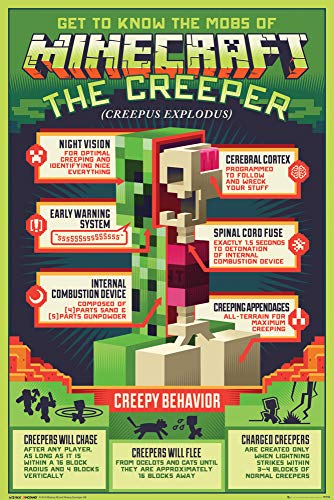 Minecraft Poster Creepy Behaviour Plakat | Bild 91x61 cm von Minecraft