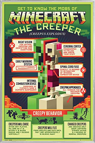 Minecraft Poster Plakat | Bild und Kunststoff-Rahmen - Creepy Behaviour (91 x 61cm) von Minecraft