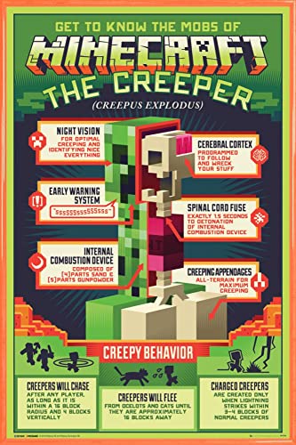 Minecraft Poster Plakat | Bild und Kunststoff-Rahmen - Creepy Behaviour (91 x 61cm) von Minecraft