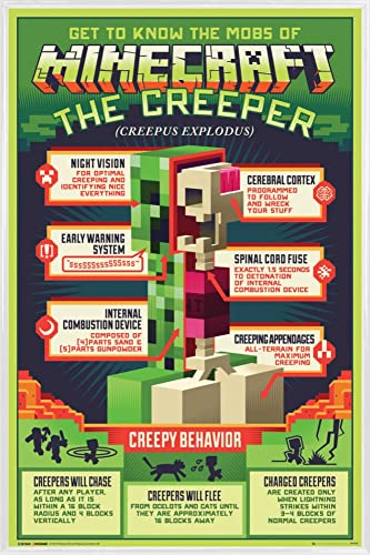 Minecraft Poster Plakat | Bild und Kunststoff-Rahmen - Creepy Behaviour (91 x 61cm) von Minecraft