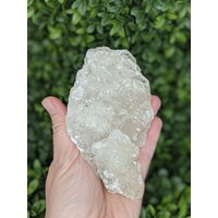 Goldenes Calcit Exemplar Von Santa Eulalia - Gemmy Honigcalcit Großer Schrank Mexiko von MineralNatureShop