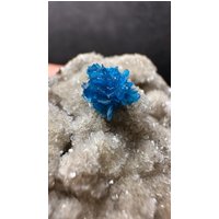 Cavansit Auf Stilbit Stufe/Mineralien Edelstein Geode Druse Sammlerstück Specimen Kristall Indien Cavansit Auf Stilbit Stufe/Mineralien Edelstein Geode Druse Sammlerstück Specimen Kristall Indien von MineralienVitrine2