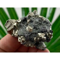 Amazing Golden Pyrit Borieva Mine, Madan Erzfeld, Rhodope Mts, Smolyan Oblast, Bulgarien, Mineralien, Kristalle, Exemplare, Fools Gold, N23 von MineralsSouvenirs