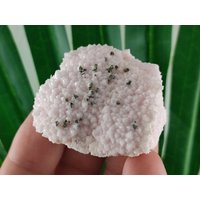 Sehr Schöner Mangano Calcit Aus Der Krushev Dol Mine, Madan Erzfeld, Rhodope Mts, Smolyan Oblast, Bulgarien, N8 von MineralsSouvenirs