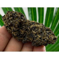 Seltener Pyrit-Pyrrhotin Aus Der Mine Borieva, Erzfeld Madan, Rhodope Mts, Smolyan Oblast, Bulgarien von MineralsSouvenirs