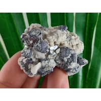 Spiegel Galenit Aus Der Borieva Mine, Erzfeld Von Madan, Rhodope Mts, Smolyan Oblast, Bulgarien, Mineralien, Kristalle, Metallik von MineralsSouvenirs