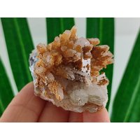 Wunderschöne Quarz Stufe Aus Der Borieva Mine Im Madan Erz Feld Von Rhodope Mts, Smolyan Oblast, Bulgarien, Mineralien, Kristalle, Edelstein von MineralsSouvenirs