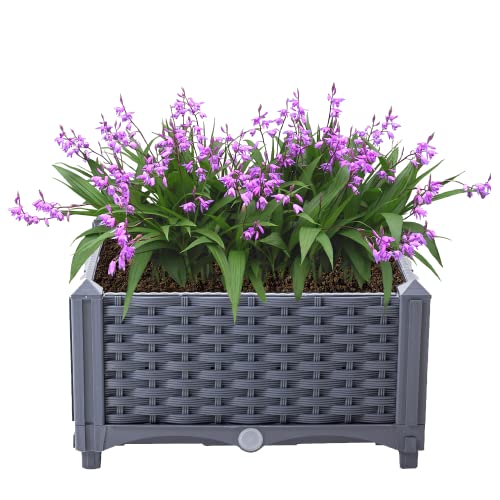 Mingone Blumenkasten Balkon Balkonkasten Blumentopf Rattan Optik mit Wasserspeicher 40 cm Lang Pflanzkasten aus Kunststoff Blumenkübel für Terrasse Garten, Grau von Mingone