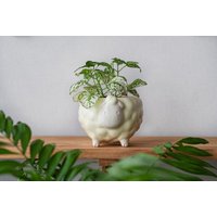 Gelber Sukkulenten Übertopf // Ostern Blumentopf Lustiger Schaf Keramik Mama Pflanze Geschenk von MiniPlantPot
