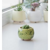 Grün Und Limette Gesprenkelter Niedlicher Übertopf von MiniPlantPot