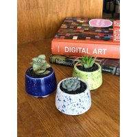 Kegel Mini-Blumentopf, Geflecktes Set - Weiß Blau Gelb Grün, Keramik-Übertopf Für Sukkulenten von MiniPlantPot