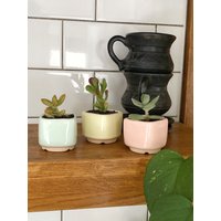 Kleiner Blumentopf Für Sukkulenten Und Kakteen - 3Er Set Mint Pink Gelb Geschenk Sie Zur Wohnungseinweihung von MiniPlantPot