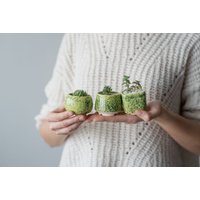 Kleiner Blumentopf in Limone Und Grün - 3Er Set Keramik Übertopf Für Sukkulenten, Kakteen Hochzeitsgeschenk Geschenk Pflanzenlady von MiniPlantPot