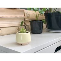 Kleiner Kegel Blumentopf S Größe Für Kaktus Oder Sukkulenten Farbmix - Keramik Übertopf Hochzeitsbevorzugung Set Töpfe von MiniPlantPot