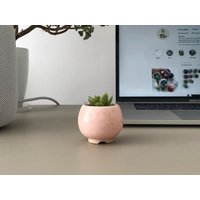 Kleiner Rosafarbener Sukkulententopf, Größe S, Rosa Runder Keramiktopf Für Kaktus Oder Sukkulenten von MiniPlantPot