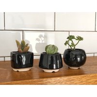 Kleiner Schwarzer Sukkulententopf - 3Er Set, Kleine Größe, Keramiktopf Für Kakteen, Tolles Geschenk Pflanzenliebhaber von MiniPlantPot