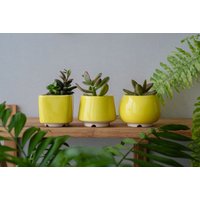 Leuchtend Gelber Sukkulenten-Übertopf - 3Er Set // Keramik Kaktus Topf 5 cm Übertöpfe Muttertag Pflanzen Geschenk Kleine Pflanzentöpfe von MiniPlantPot