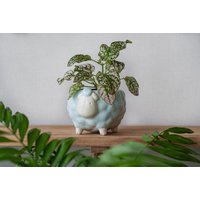 Schaf Blumentopf, Blauer Übertopf, Niedlicher Tier Pflanzenliebhaber Geschenk von MiniPlantPot