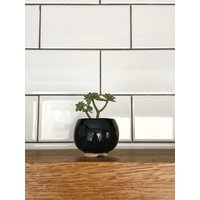 Schwarzer Kleiner Sukkulententopf, S-Größe, Runder Keramiktopf Für Kaktus Oder Sukkulenten von MiniPlantPot