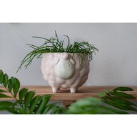 Sukkulenten Mittelgroßer Blumentopf // Keramik Übertopf Mama Pflanze Geschenk Muttertag Niedlicher Rosa Für von MiniPlantPot