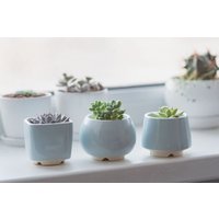 Trio Hellblauer Sukkulenten Übertopf - Set Von 3 Töpfen, Blauer von MiniPlantPot