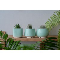 Trio Mint Sukkulenten Übertopf, Set Von 3 Töpfen, Niedlicher Drainage Topf von MiniPlantPot