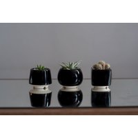 Trio Sukkulenten Übertopf - Set Aus 3 Töpfen, Keramik Kaktus Topf von MiniPlantPot