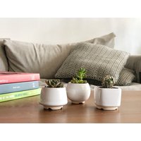 Weißer Kleiner Blumentopf - 3Er Set Keramik Übertopf Für Sukkulenten, Kakteen Hochzeitsgeschenk Geschenk Pflanzenliebhaber Sukkulenten Töpfe von MiniPlantPot