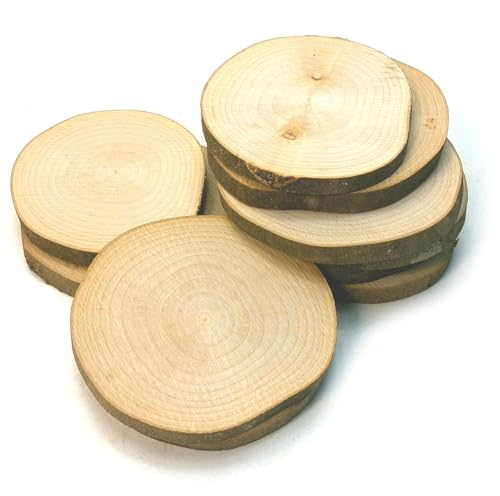 Miniaturenbau-Lewen 10 Baumscheiben Ahorn Holzscheiben Astscheiben Bastelholz 9-11 cm von Miniaturenbau-Lewen