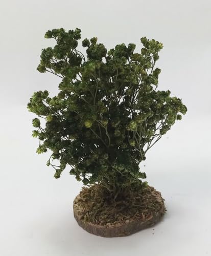 Miniaturenbau-Lewen Strauch aus Naturmaterial. Höhe 8-10 cm. Pflanze für Krippen, Krippenbotanik Miniaturenbau-Lewen Strauch aus Naturmaterial. Höhe 8-10 cm. Pflanze für Krippen, Krippenbotanik von Miniaturenbau-Lewen