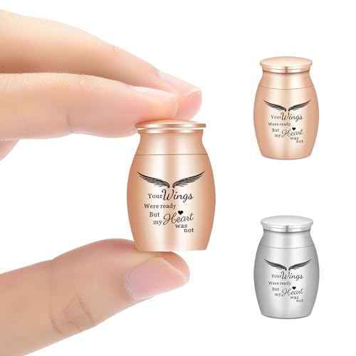 Minicremation Urne für menschliche Asche, kleine Urnen, Andenken für Asche, Super-Mini-Urnen für menschliche Asche, Edelstahl-Gedenk-Aschehalter – 2 Sets (Wings-Rosegold-Silver) von Minicremation