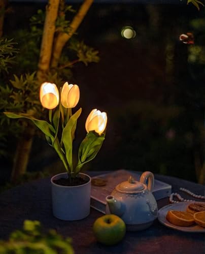 Minidiva Tulpenlampe Künstliche Blumen mit LED-Licht, Simulation Tulpe Nachtlicht mit Vase, Real Touch Tischlampe für Heimdekoration, Hochzeitsarrangements, Geschenk für Party, Batteriebetrieben, Rosa von Minidiva