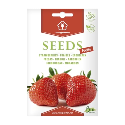 Erdbeeren, Samen von Minigarden, enthält zwischen 300 und 340 Samen von minigarden