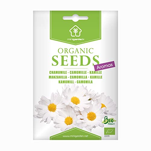 Kamille, zertifizierte biologische Samen von Minigarden, enthält zwischen 7500 und 6000 Samen von minigarden