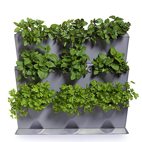 minigarden Vertical 1 Set für 9 Pflanzen, erweiterbarer vertikaler Garten im Baukastensystem, freistehend am Boden aufstellbar oder zur Wandmontage (Grau) von minigarden
