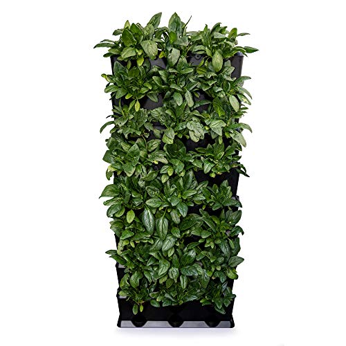 minigarden Vertical Kitchen Garden für 24 Pflanzen, Tropfbewässerungs-Kit enthalten, freistehend am Boden aufstellbar oder zur Wandmontage, Lange Lebensdauer (Schwarz) von minigarden