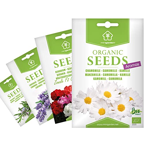 Zertifizierte biologische Samen von Minigarden, 6350+ Bio-Samen, Auswahl AROMEN: Kamille, Rosmarin, Lavandel und Geranie von minigarden