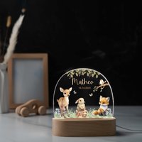 Personalisierte Nachtlampe, Geschenk Zur Geburt, Babygeschenk Taufgeschenk, Geburtstagsgeschenk, Personalisiertes Personalisierte Nachtlampe, Geschenk Zur Geburt, Babygeschenk Taufgeschenk, Geburtstagsgeschenk, Personalisiertes von Minihelden