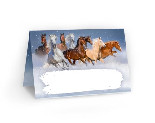 12 Tischkarten für Kindergeburtstag Mädchen Taufe Kinderfest Hochzeit Pferde Kindermotiv (12 Stück) von Minkocards