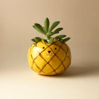 Ananas Übertopf, Katzentopf, Dekor, Keramiktopf von MinkyMooCeramics