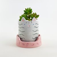 Handgemachte Getigerte Katze Pflanzer Mit Untersetzer Tier Pflanzentopf von MinkyMooCeramics