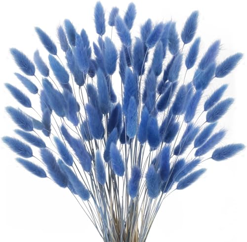 Minnhua 120 Pcs Trockenblumen Klein Pampasgras Natürliche Getrocknet Blumen Getrocknetes Schilfgras Klein für Hochzeit Hause Party Wedding Büro Fotografie Vase Deko Blau von Minnhua